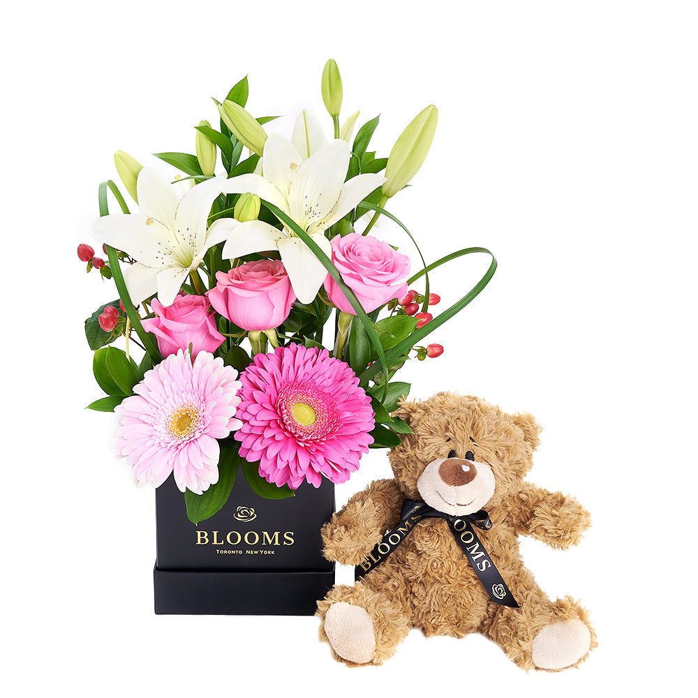 Gerbera Floral Arrangement &amp; Bear Gift Set – Floral Gifts –America Blooms- America Blooms delivery