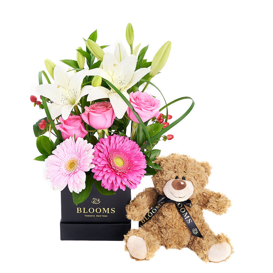 Gerbera Floral Arrangement & Bear Gift Set – Floral Gifts –America Blooms- America Blooms delivery