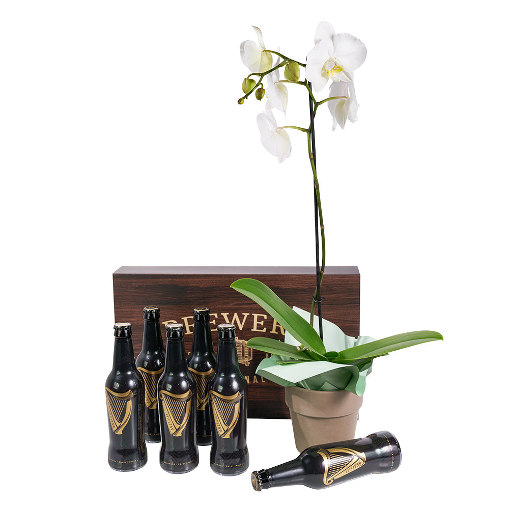 Guinness Flowers & Beer Gift, Guinness beers and white orchid gift from America Blooms - America Delivery.