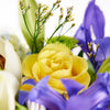 Irises in Paradise mixed arrangement, from America Blooms - America Delivery.