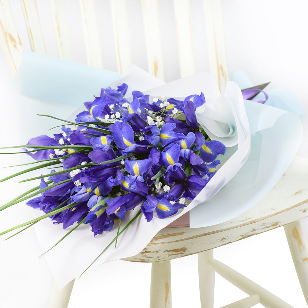 Violet Iris and Baby's Breath 24-Stem Wrapped Bouquet – how the gift is presented