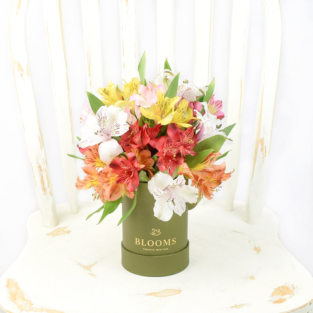 Multi-Colored Alstroemeria Floral Arrangement in Designer Hat Box – how the gift is presented