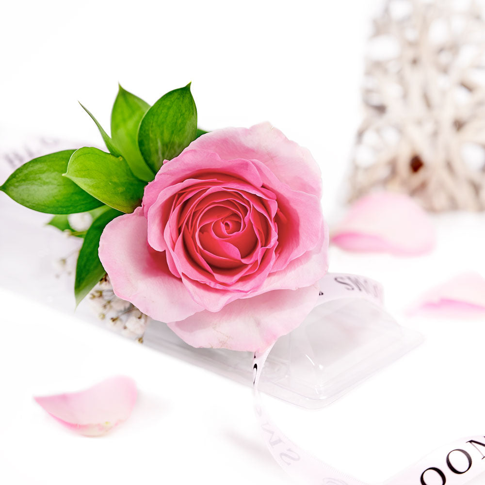 Mother's Day Single Pink Rose, Mother's Day Gifts from America Blooms - America Delivery.