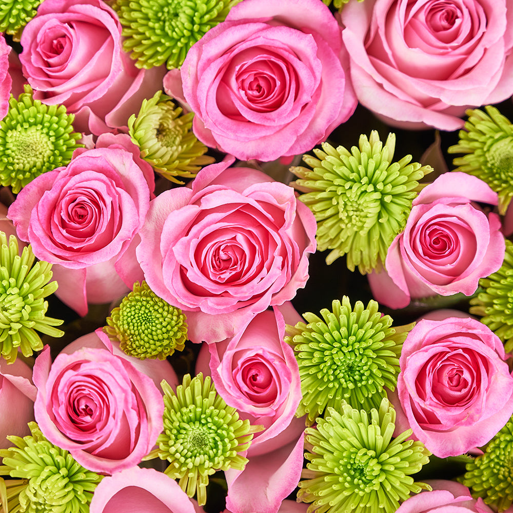 Mother’s Day Large Pink Rose Box Gift – Mother’s Day Gifts from America Blooms - America Delivery.