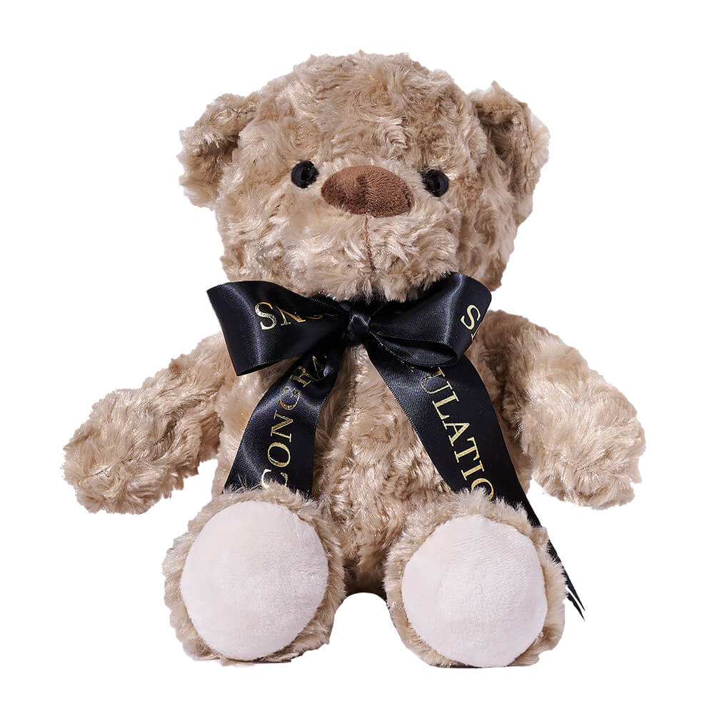 My Grad Teddy Bear, graduation gift, graduation, plush gift, plush, bear gift, bear. America Blooms  Delivery