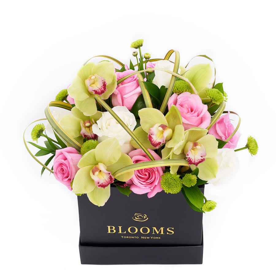 Orchid & Rose Forever Floral Gift, Floral Arrangement Gift from America Blooms - America Delivery.