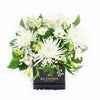 White floral mixed hat box arrangement.  America Blooms- America Blooms Delivery.