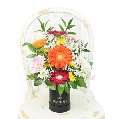 Brightly coloured mixed floral arrangement in a black box. Blooms America Delivery.