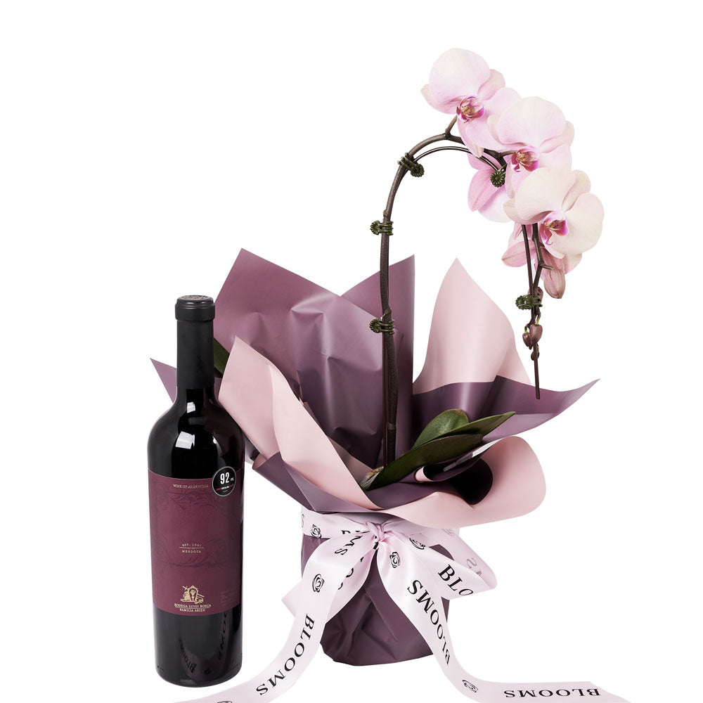 Pure &amp; Simple Flowers &amp; Wine Gift - Orchid plant and Wine Gift Set -America BloomsDelivery