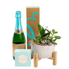 Reasons to Celebrate Plant & Champagne Gift - Wine Gift Set - America Blooms Delivery