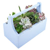 America Blooms Flower Delivery - America Blooms Flower Gifts - Plant Gifts - Cactus