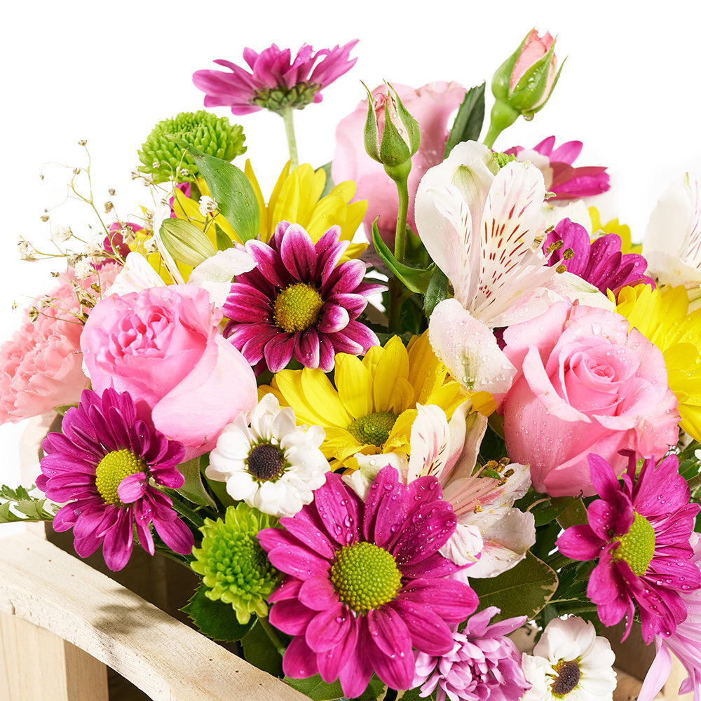 Slice of Nature Garden Chair , Mixed Flower and Chair Gift Set from America Blooms - America Delivery.