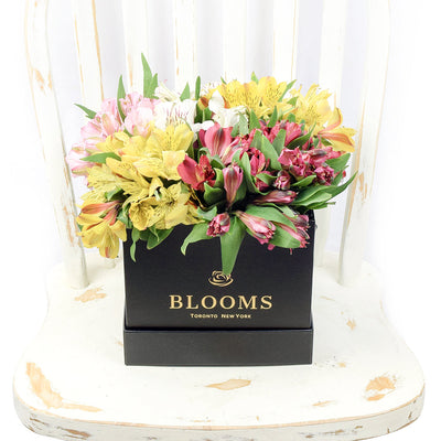 Blooms America Same Day Flower Delivery - Blooms America Flower Gifts - Lily Bouquet