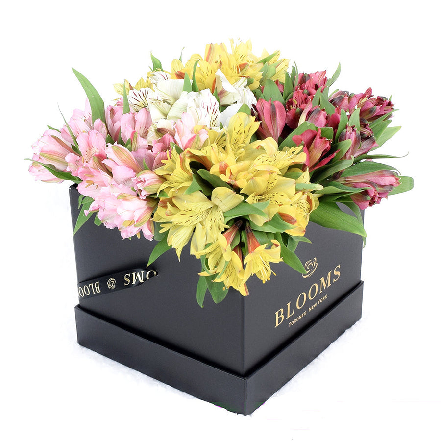 America Blooms Same Day Flower Delivery - America Blooms Delivery Flower Gifts - Lily Bouquet