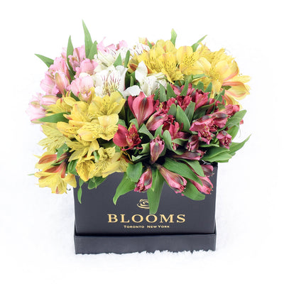 Blooms America Same Day Flower Delivery - Blooms America Flower Gifts - Lily Bouquet
