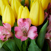 Spring Radiance Mixed Bouquet, Tulip and alstroemeria mixed bouquet from America Blooms - America Delivery.