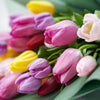 Blooms America Flower Delivery - Blooms america Flower Gifts - Pink Tulip Bouquet