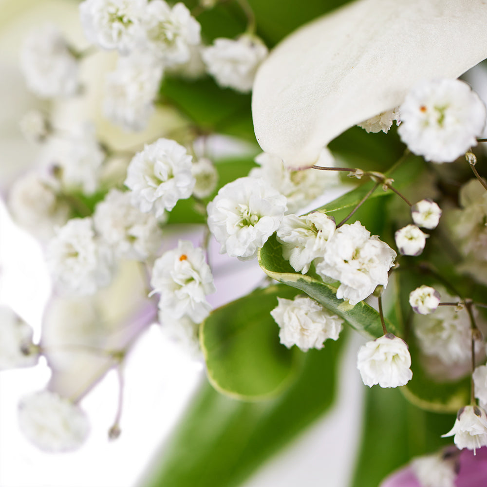 Spring Rose & Lily Arrangement – Floral Gifts –  Blooms America delivery