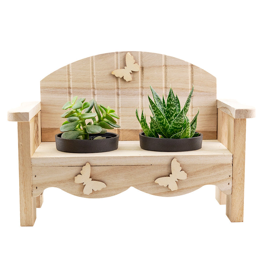 Succulent Greenhouse Garden Bench, planter arrangement with a potted succulent, from America Blooms - America Delivery.