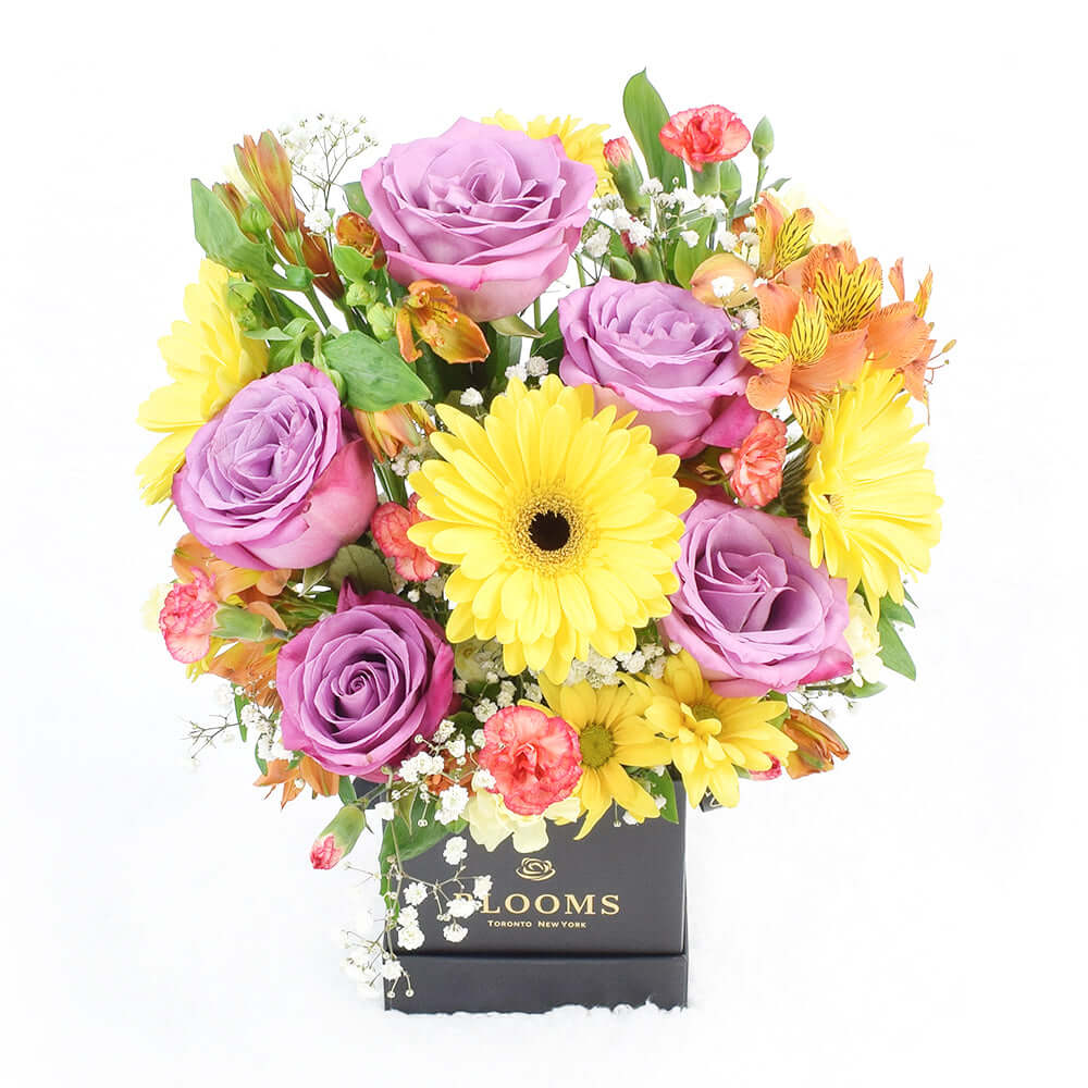 Summer Dreams Mixed Arrangement, ring in the grand celebration and grace every special occasion with their undeniable charm, from America Blooms - America Delivery.