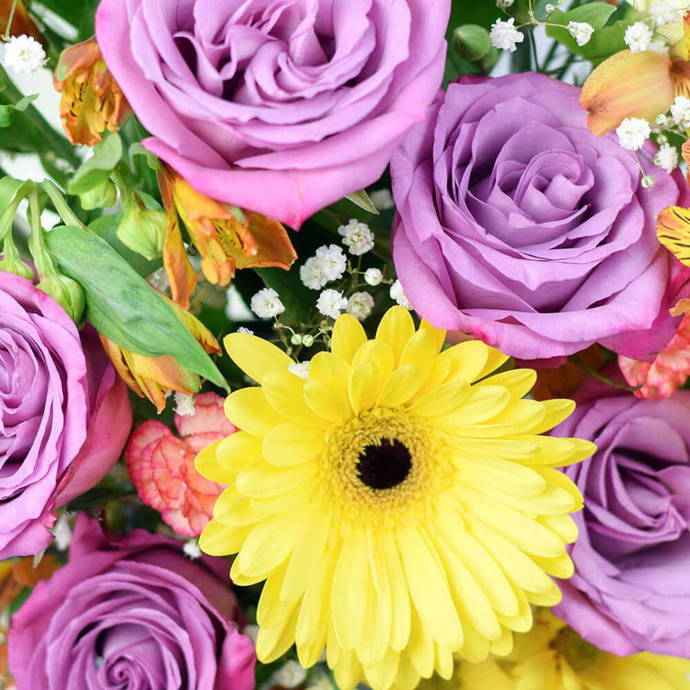 Summer Dreams Mixed Arrangement, ring in the grand celebration and grace every special occasion with their undeniable charm, from America Blooms - America Delivery.