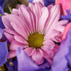 Violet Fantasy Mixed Iris Bouquet, Flower Gifts from America Blooms - Same Day America Delivery.
