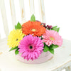 Floral Daisy Hat box arrangement in bright colours. Blooms America Delivery.