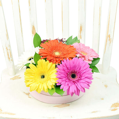 Floral Daisy Hat box arrangement in bright colours. Blooms America Delivery.