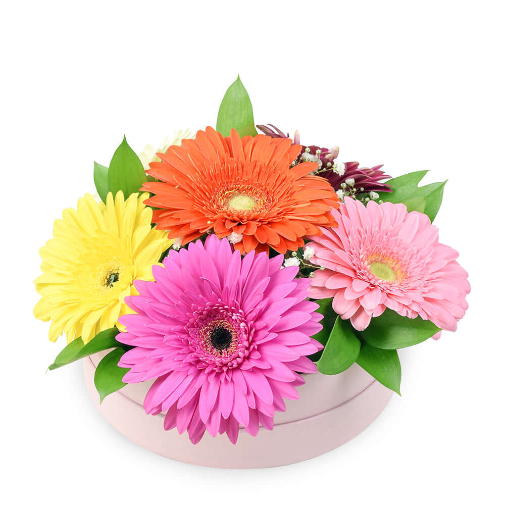 Floral Daisy Hat box arrangement in bright colours. America Blooms- America Blooms Delivery.