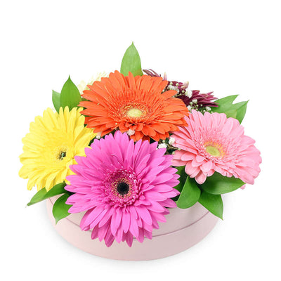 Floral Daisy Hat box arrangement in bright colours. America Blooms- America Blooms Delivery.